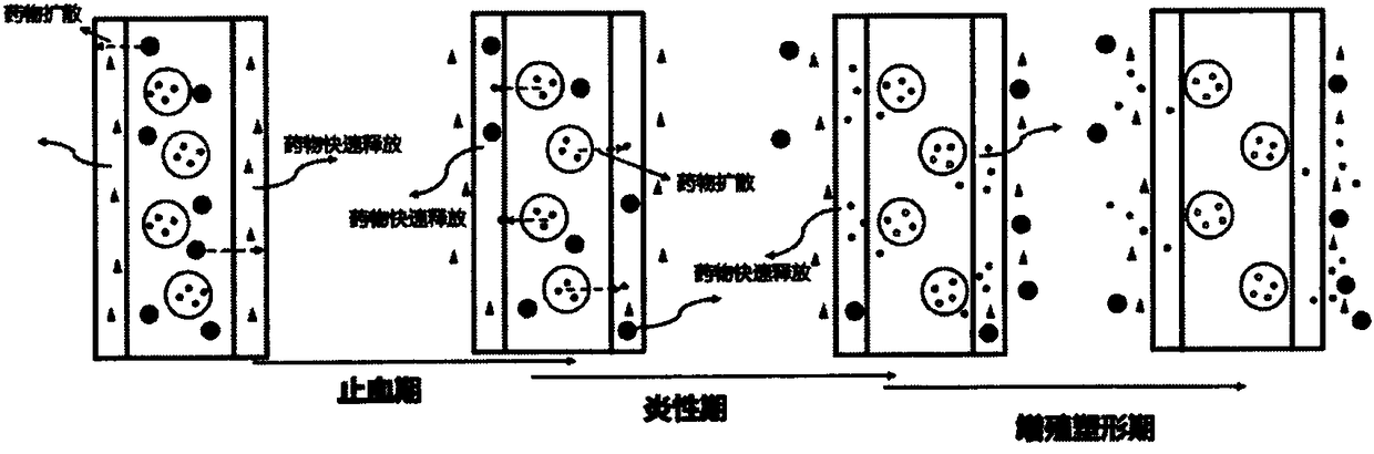 Multifunctional ordered medicine release medical coating film for acute trauma and preparation method thereof