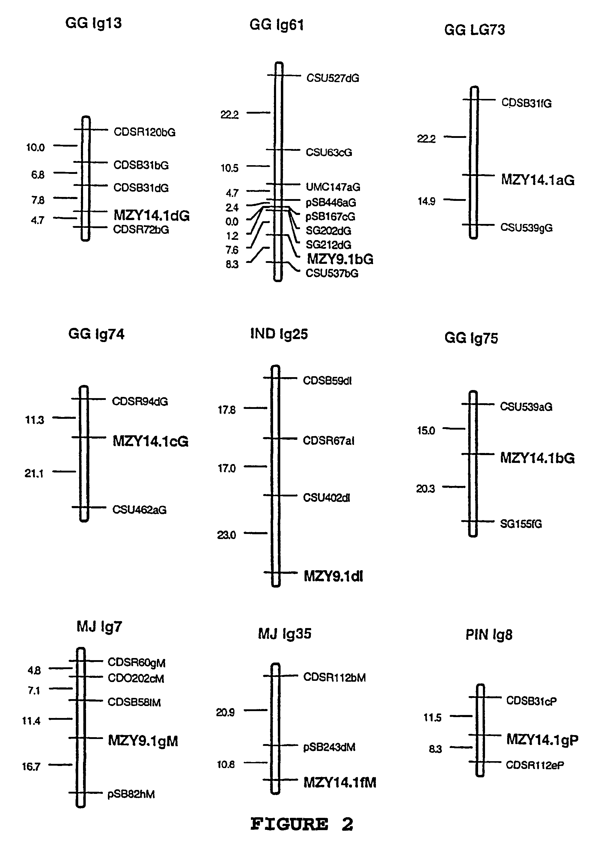 Regulatory element from a sugarcane proline rich protein and uses thereof