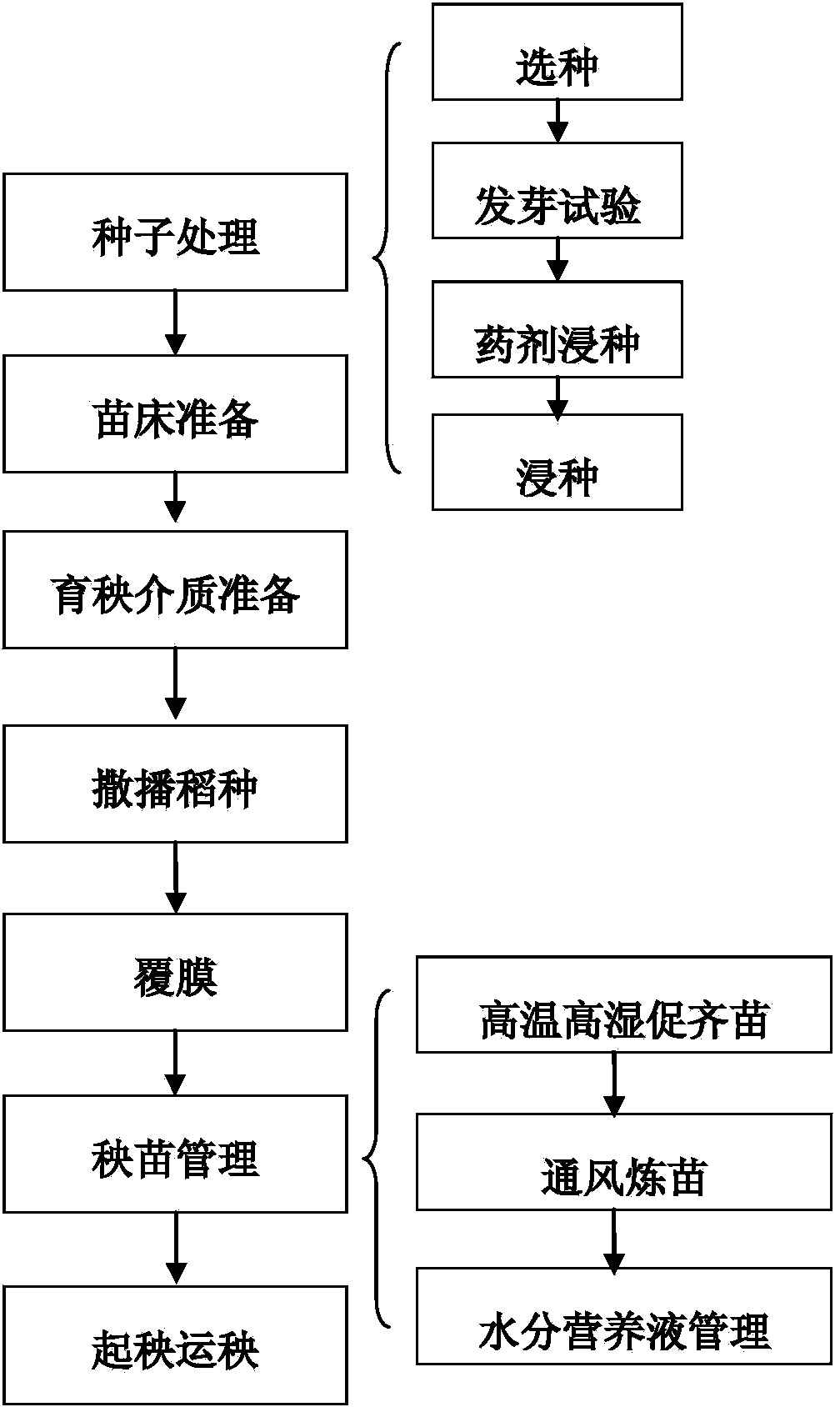 Soilless rice seedling raising method and application