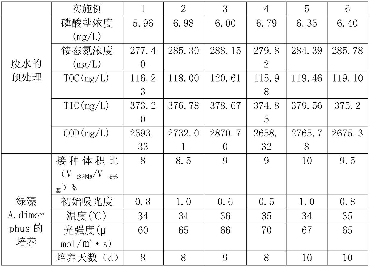 Method of using high-concentration organic wastewater of milk factories to cultivate green alga A. dimorphus to prepare lipids and polysaccharides