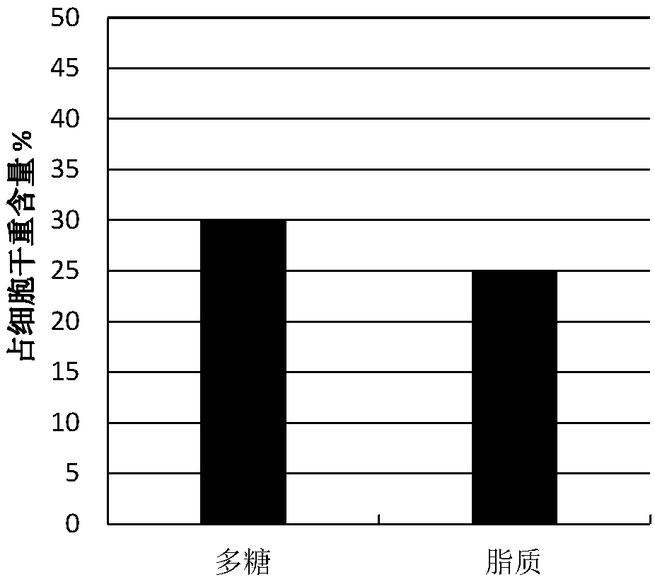 Method of using high-concentration organic wastewater of milk factories to cultivate green alga A. dimorphus to prepare lipids and polysaccharides