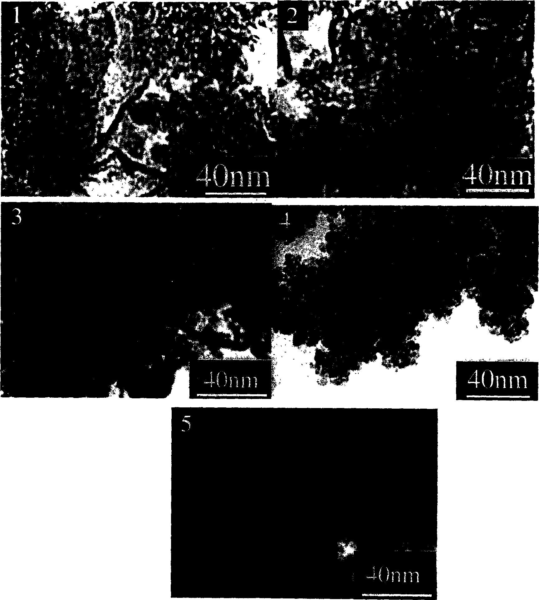 Core/shell structure containing Fe/SiO2 composite nano particles with high stability and method for making same