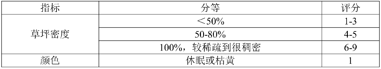 Method for interplanting ryegrass in Cynodon dactylon in central China