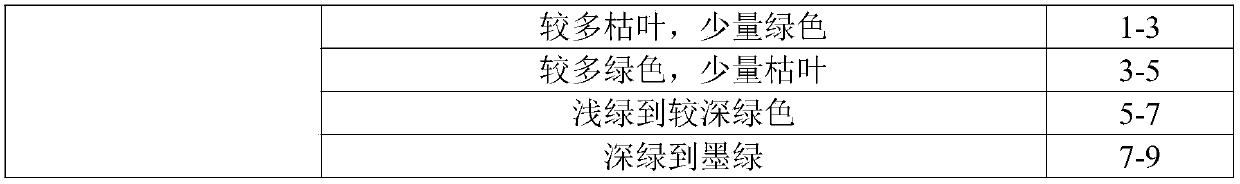 Method for interplanting ryegrass in Cynodon dactylon in central China