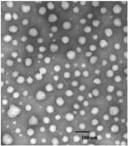 Long chain amine-substituted dimethylanilinium compounds, and preparation method, self-assembled structure and use thereof