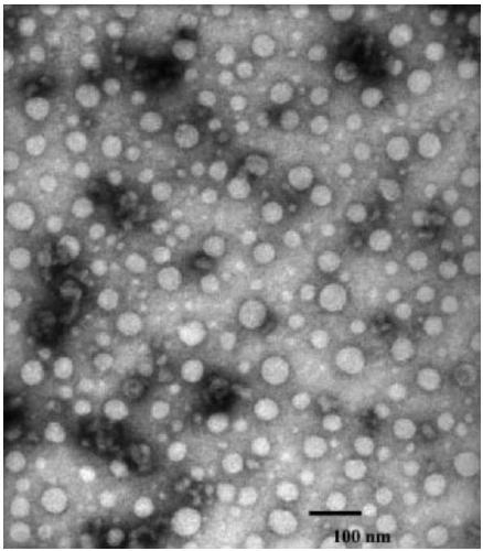 Long chain amine-substituted dimethylanilinium compounds, and preparation method, self-assembled structure and use thereof