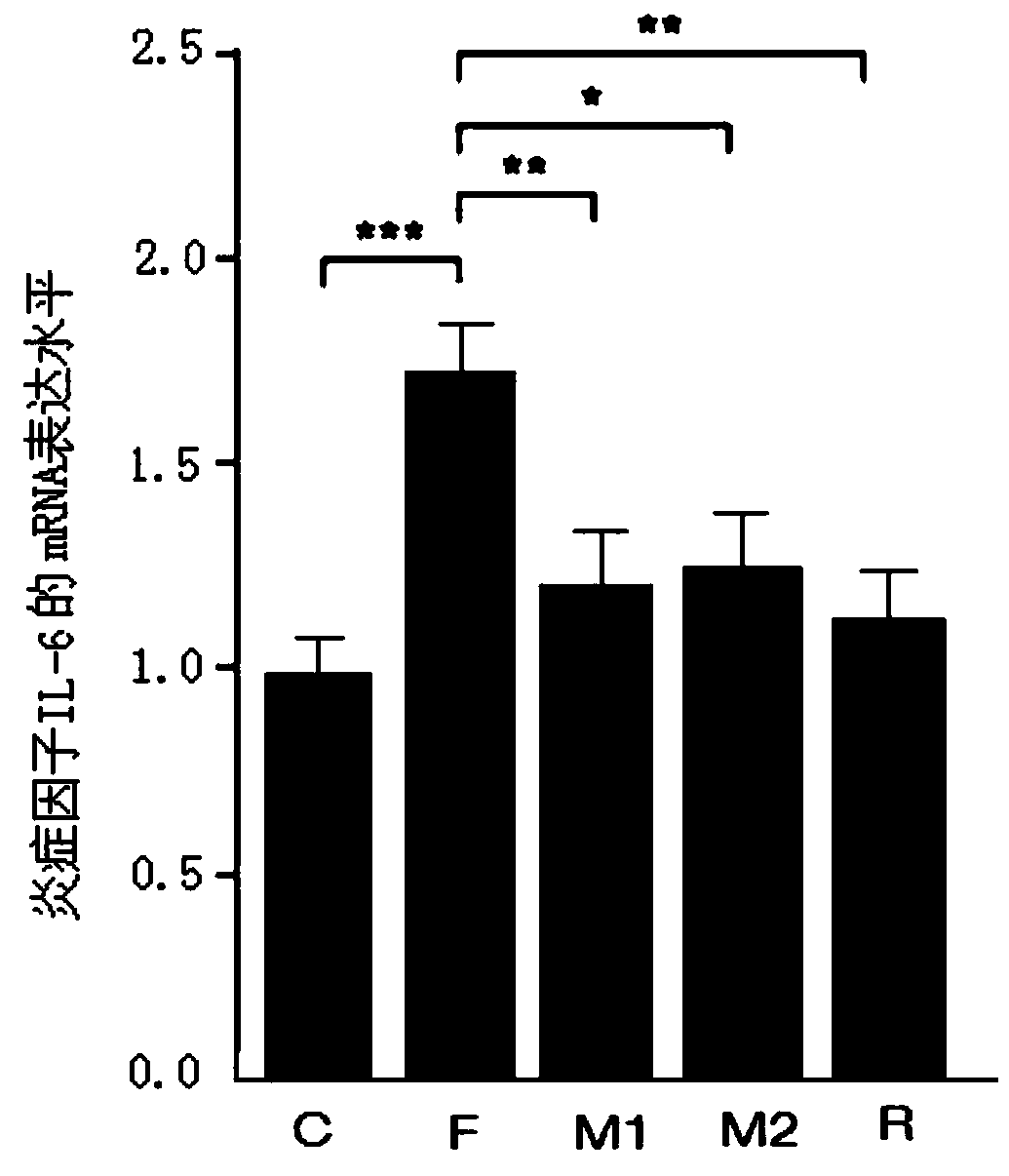 Application of mulberroside A and derivatives thereof in preparation of drug for protecting intestinal barrier