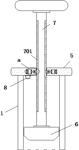 Safe meat toxin injector for medical beauty