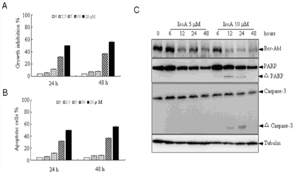 Application of isoalantolactone in preparation of medicines for resisting chronic myeloid leukemia