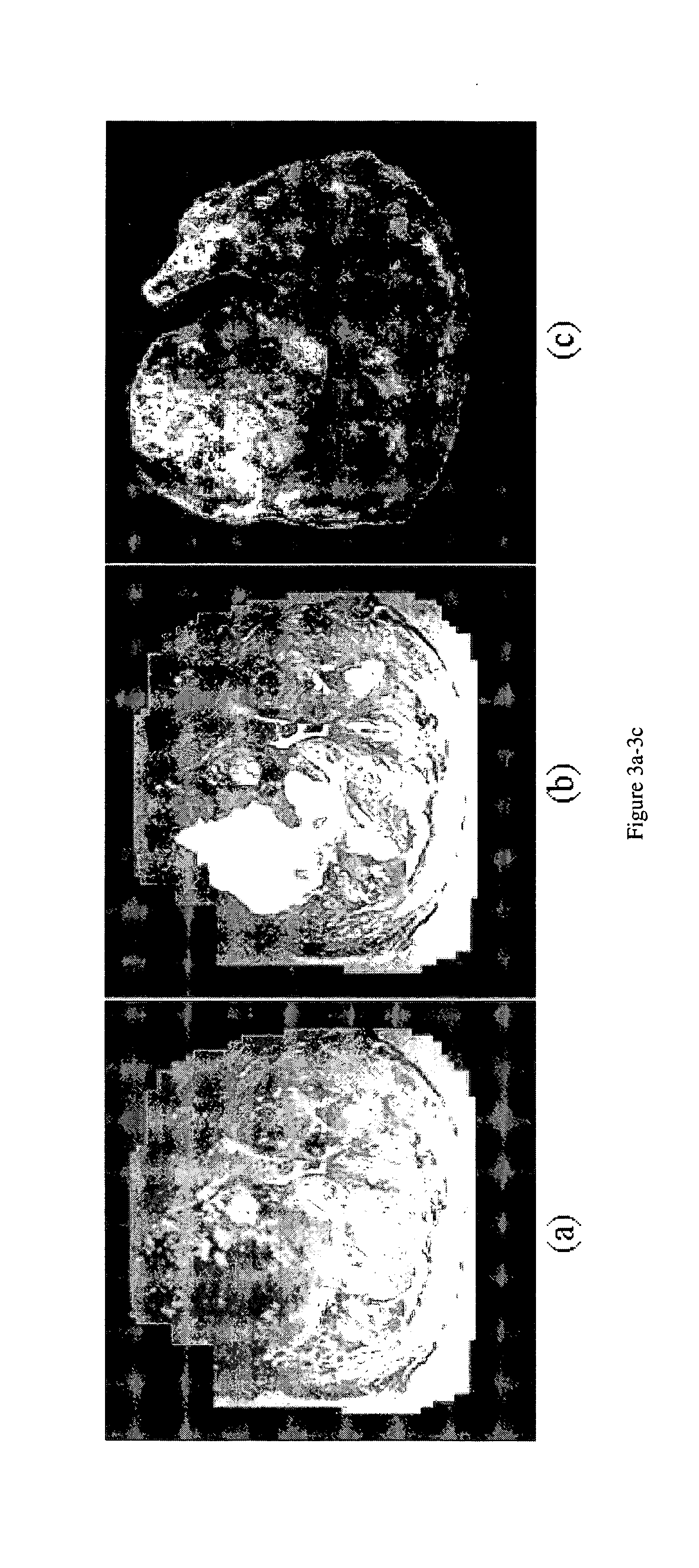 Systems and methods for classification of biological datasets