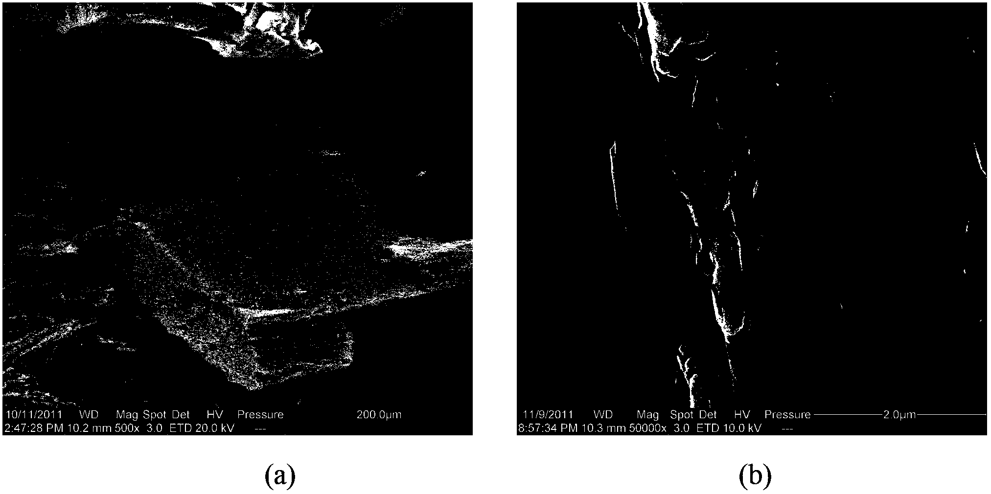 Method for preparing self-sustained silicon nanowire array