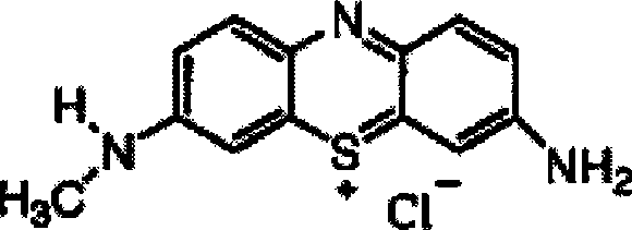 Aqueous antiseptic solution and compatible anionic dye for staining skin