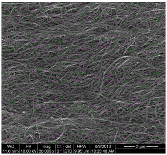 Sponge carbon nanotube gas phase collection device and method