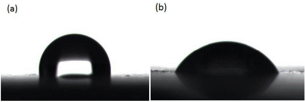 Low-friction high-wear resistance bionic artificial joint and preparation method thereof