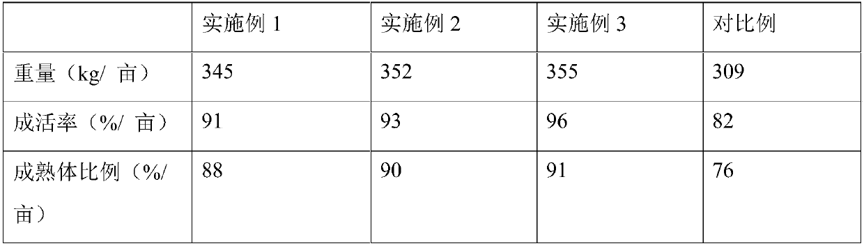 Feed for artificial breeding of bullacta exarata and preparation method thereof