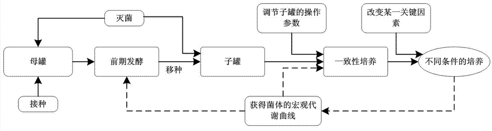 Fermentation linkage device and realizing method of fermentation linkage