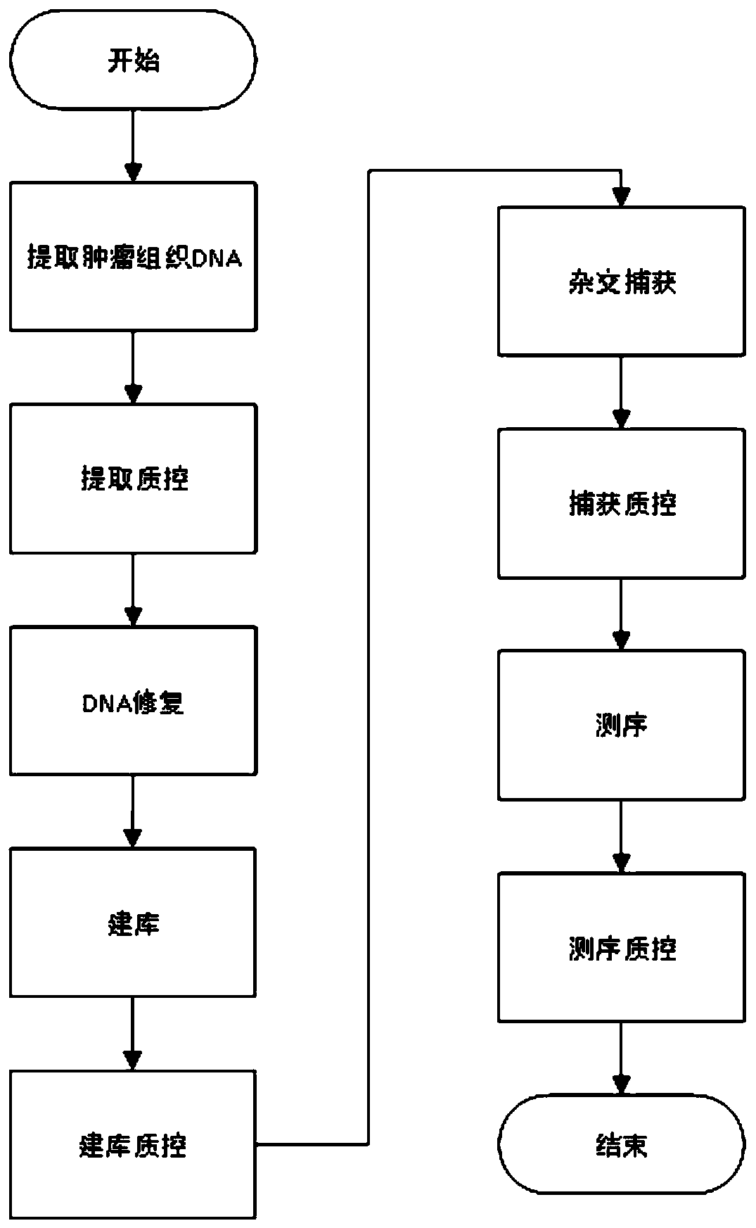 Solid tumor polygene detection gene chip and preparation method and detection device thereof