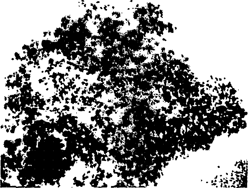 Prepn of super-paramagnetic polymer microsphere