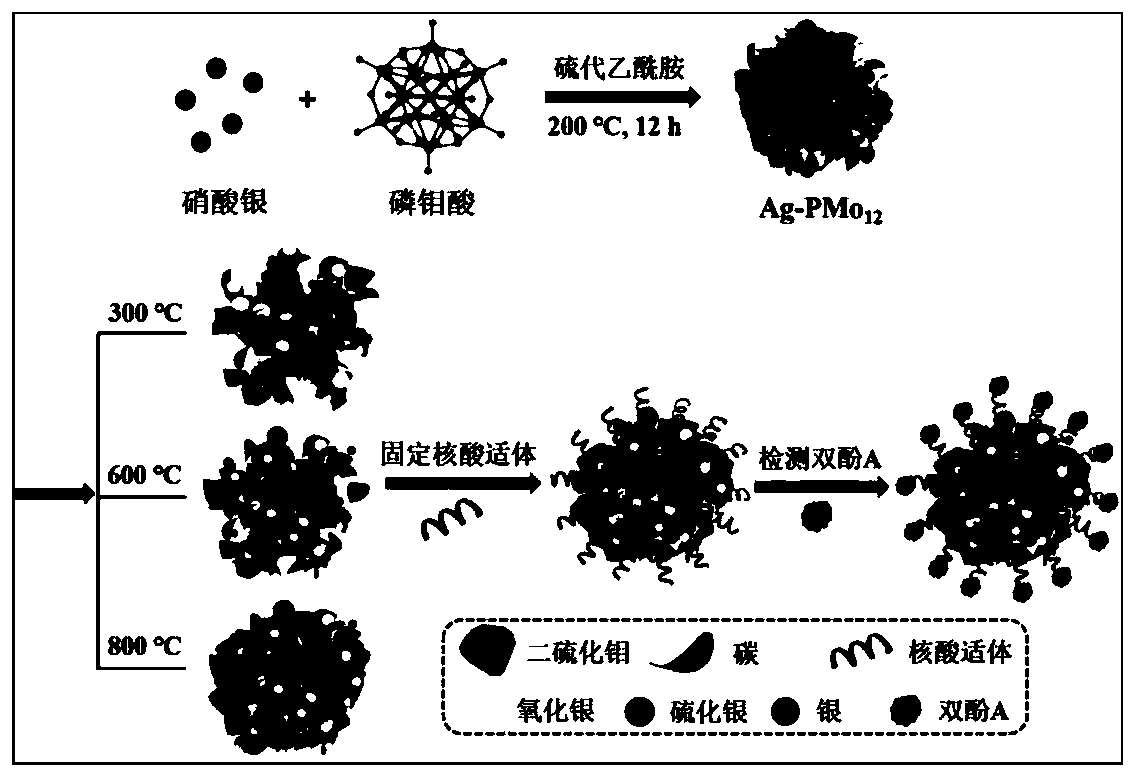 Nano composite material based on phosphorus-molybdenum-containing polyoxometallate, preparation method thereof, aptamer sensor and electrode of aptamer sensor