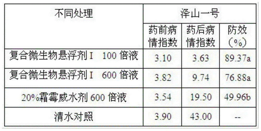 Compound microorganism bacterium agent for preventing and treating fruit and vegetable downy mildews and preparation method thereof