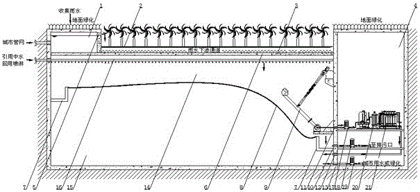 Underground water storage and purification integrated system for sponge city