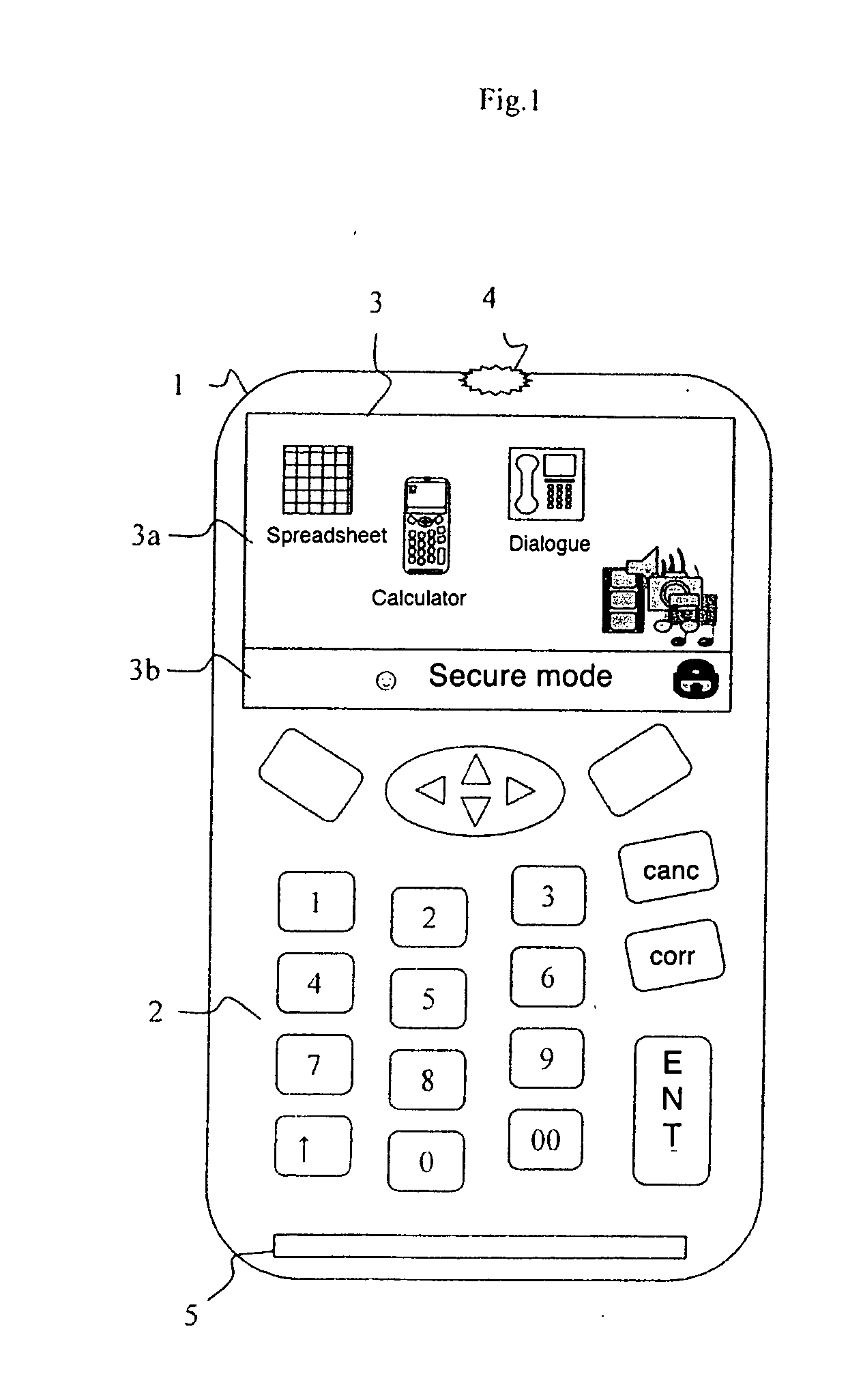 Secure display method and device