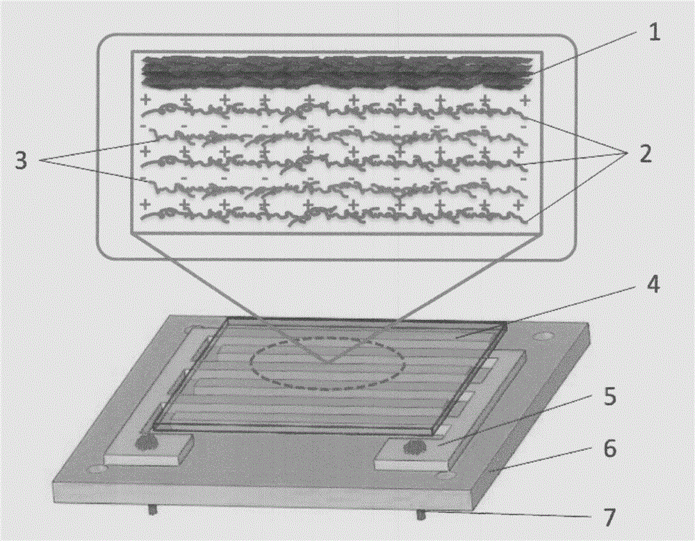 Graphene film humidity sensor