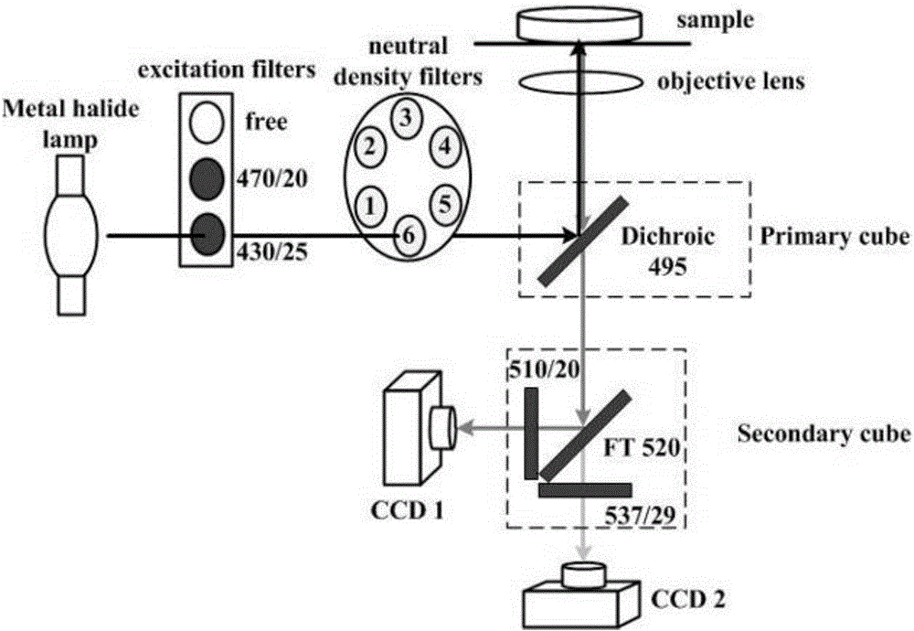 Method for quickly measuring fluorescence resonance energy transfer (FRET) efficiency based on simultaneous dual-channel fluorescence intensity detection