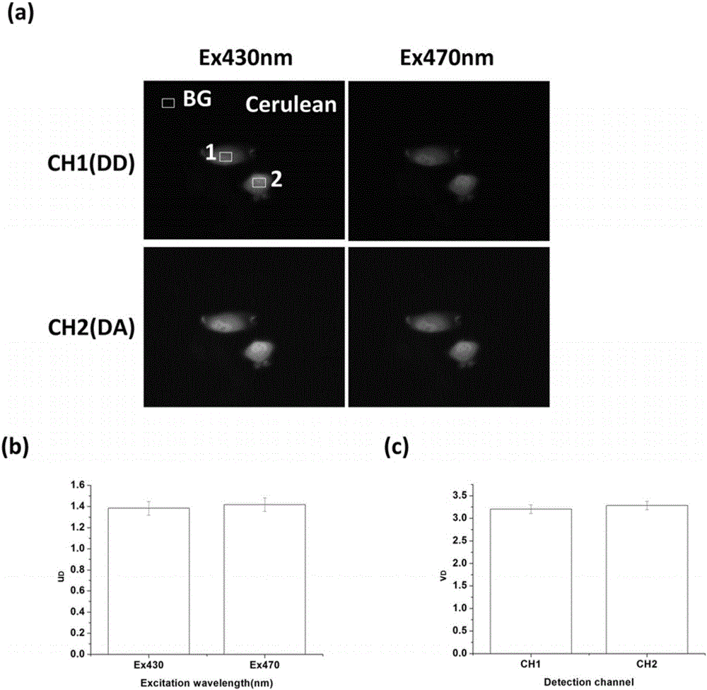 Method for quickly measuring fluorescence resonance energy transfer (FRET) efficiency based on simultaneous dual-channel fluorescence intensity detection