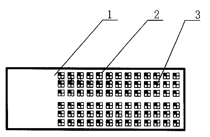 Albumen chip for detecting autoimmunity antibody of diabetes, as well as preparation and detection method