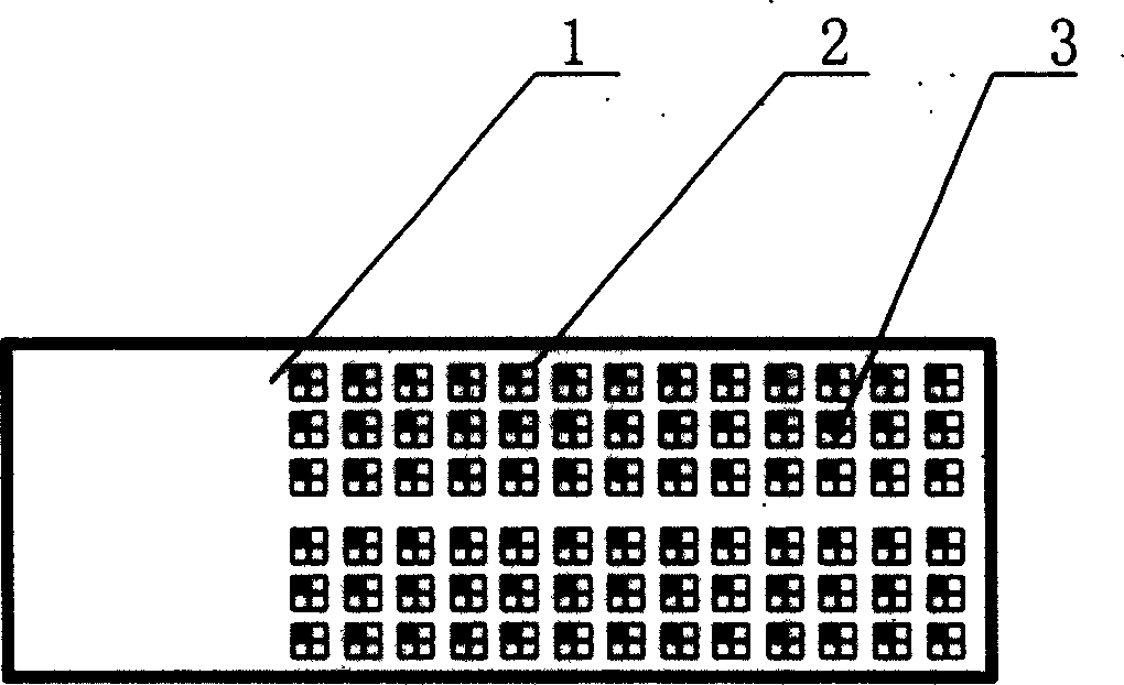 Albumen chip for detecting autoimmunity antibody of diabetes, as well as preparation and detection method