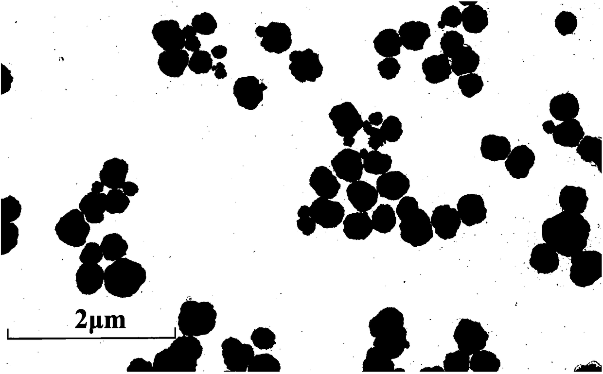 Dendritic molecule modified ferriferrous oxide magnetic nanomaterial and preparation method and application thereof