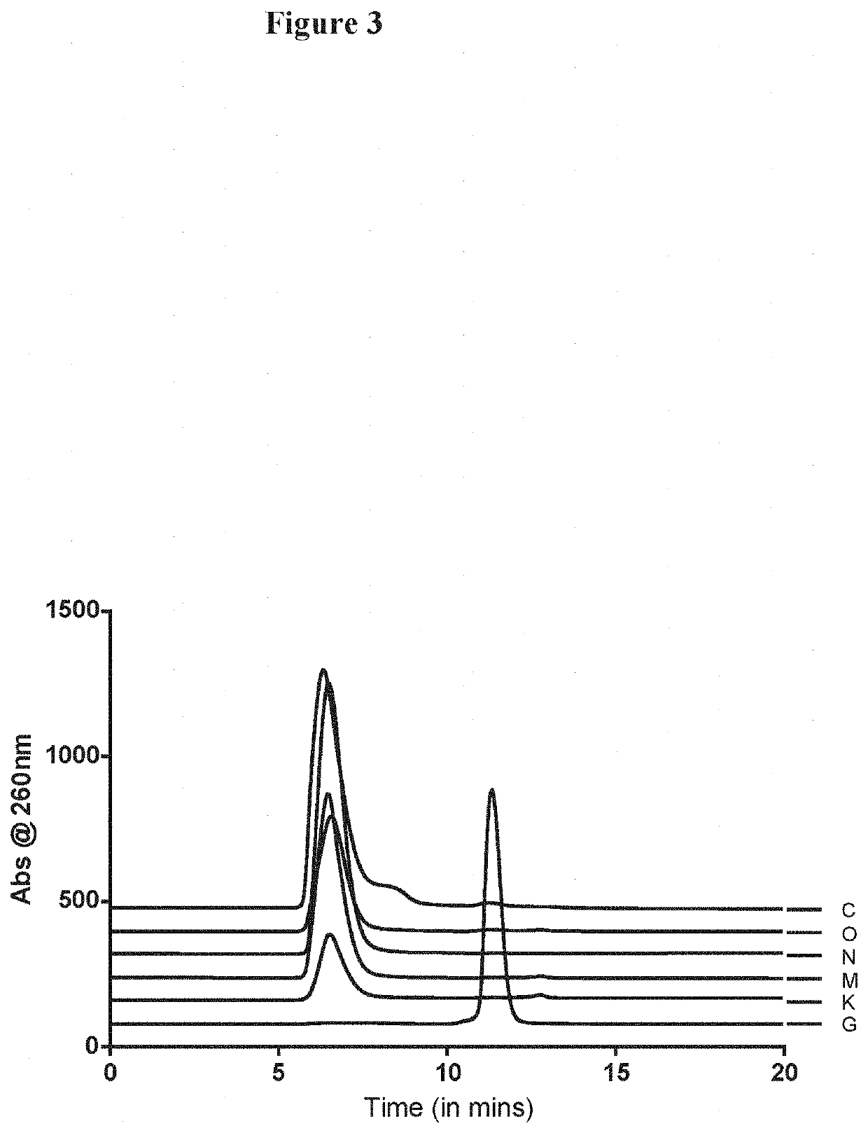 Synthesis of spherical nucleic acids using lipophilic moieties