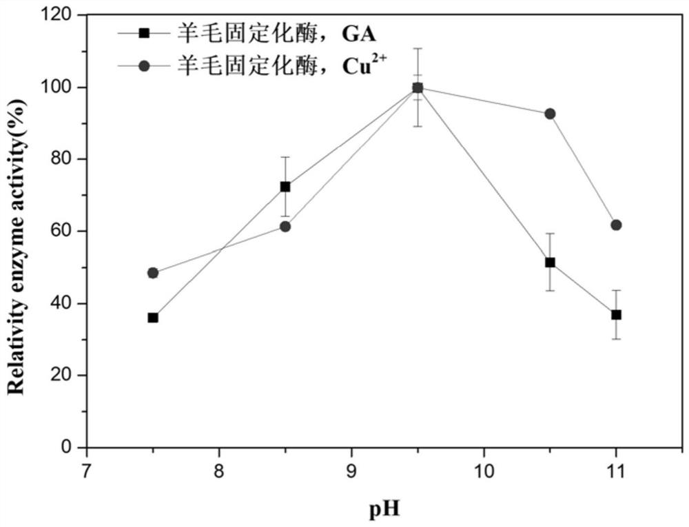 Preparation method of wool immobilized enzyme and wool immobilized enzyme column reactor