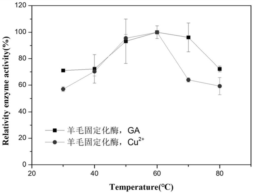 Preparation method of wool immobilized enzyme and wool immobilized enzyme column reactor