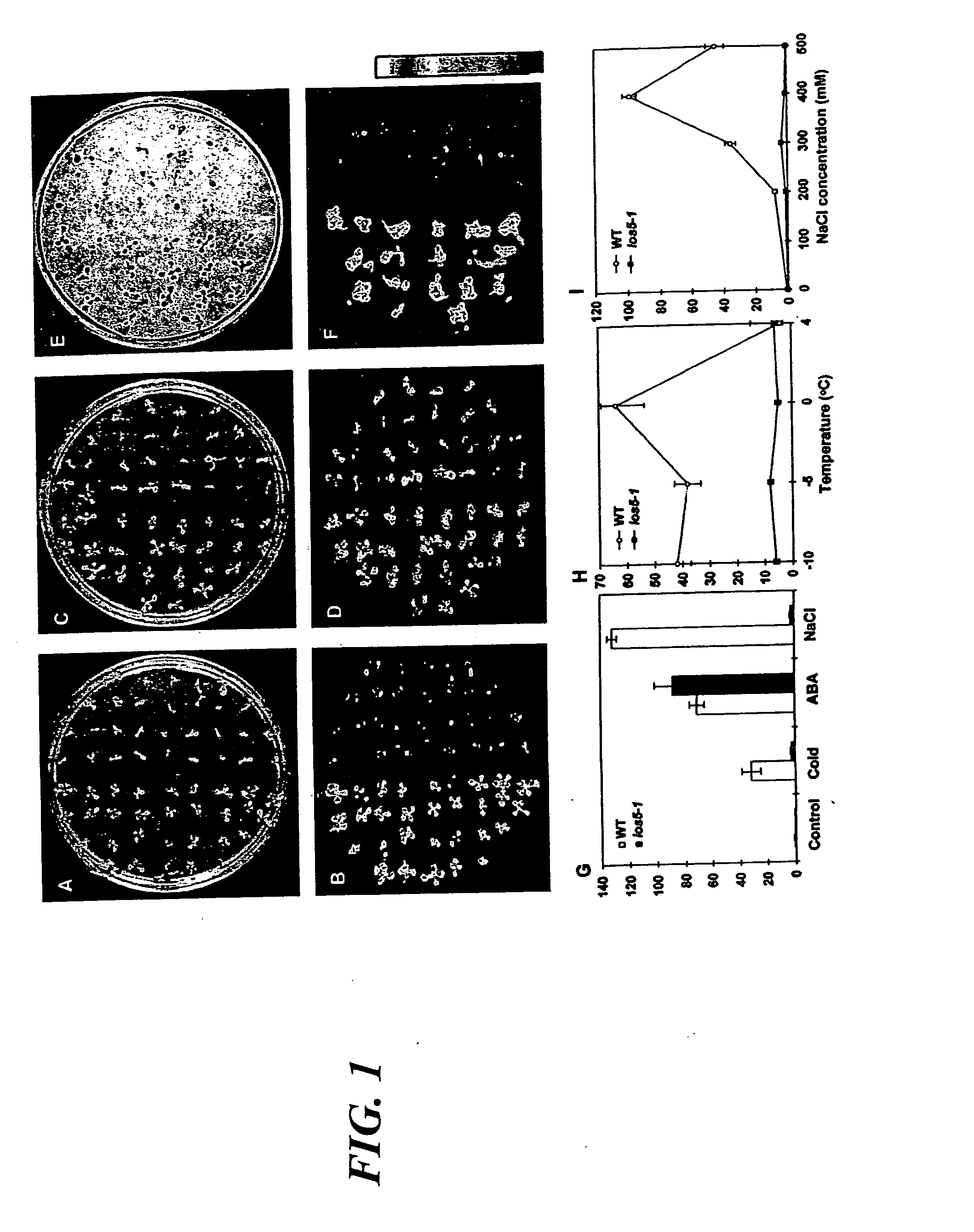 Method for increasing stress tolerance in plants