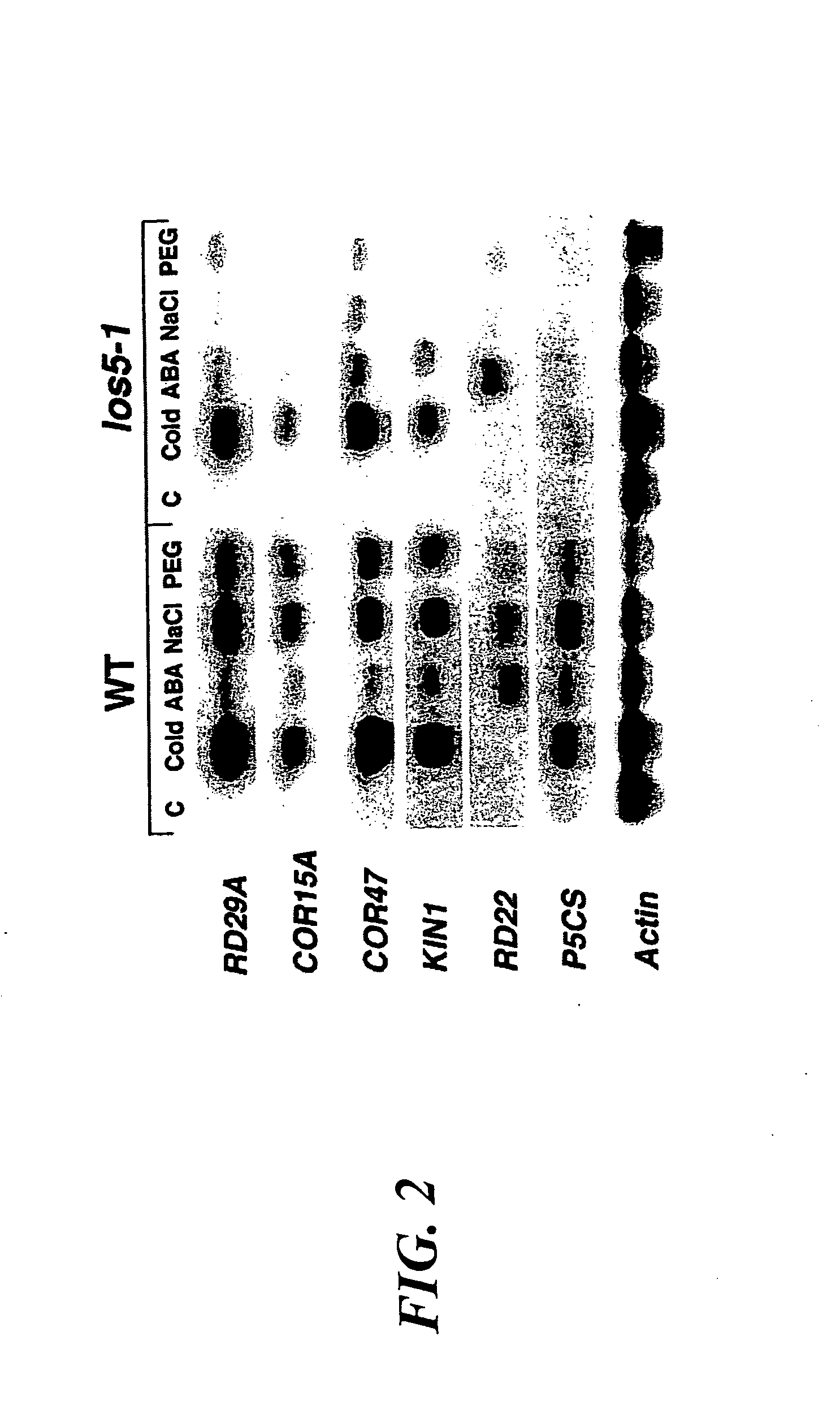 Method for increasing stress tolerance in plants