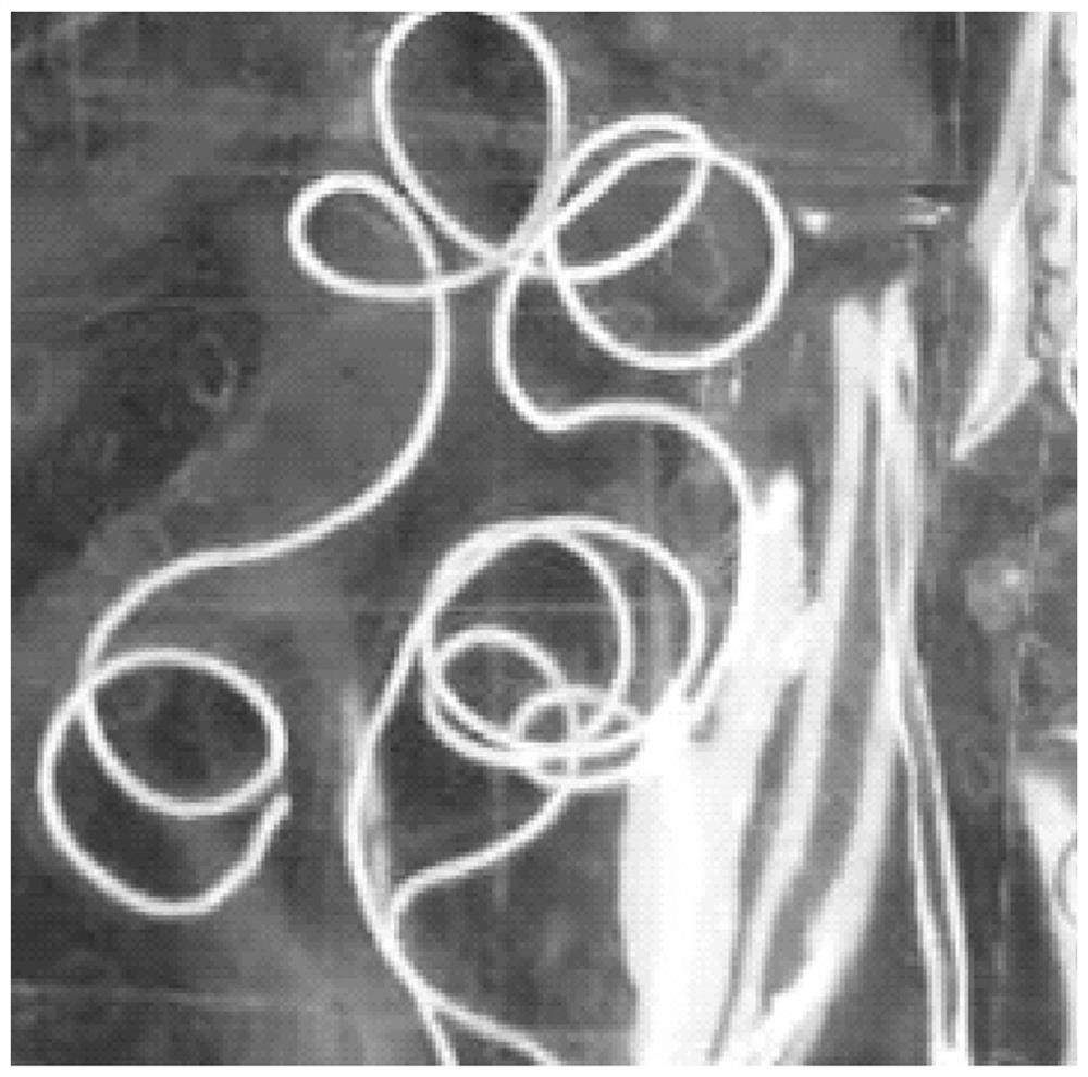 Developing composite material, preparation method and application thereof, implantable and interventional medical instrument and preparation method of implantable and interventional medical instrument