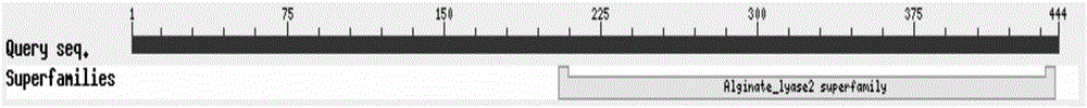 Facultative incision type recombinant alginate lyase rAly-1 as well as coding gene and application thereof