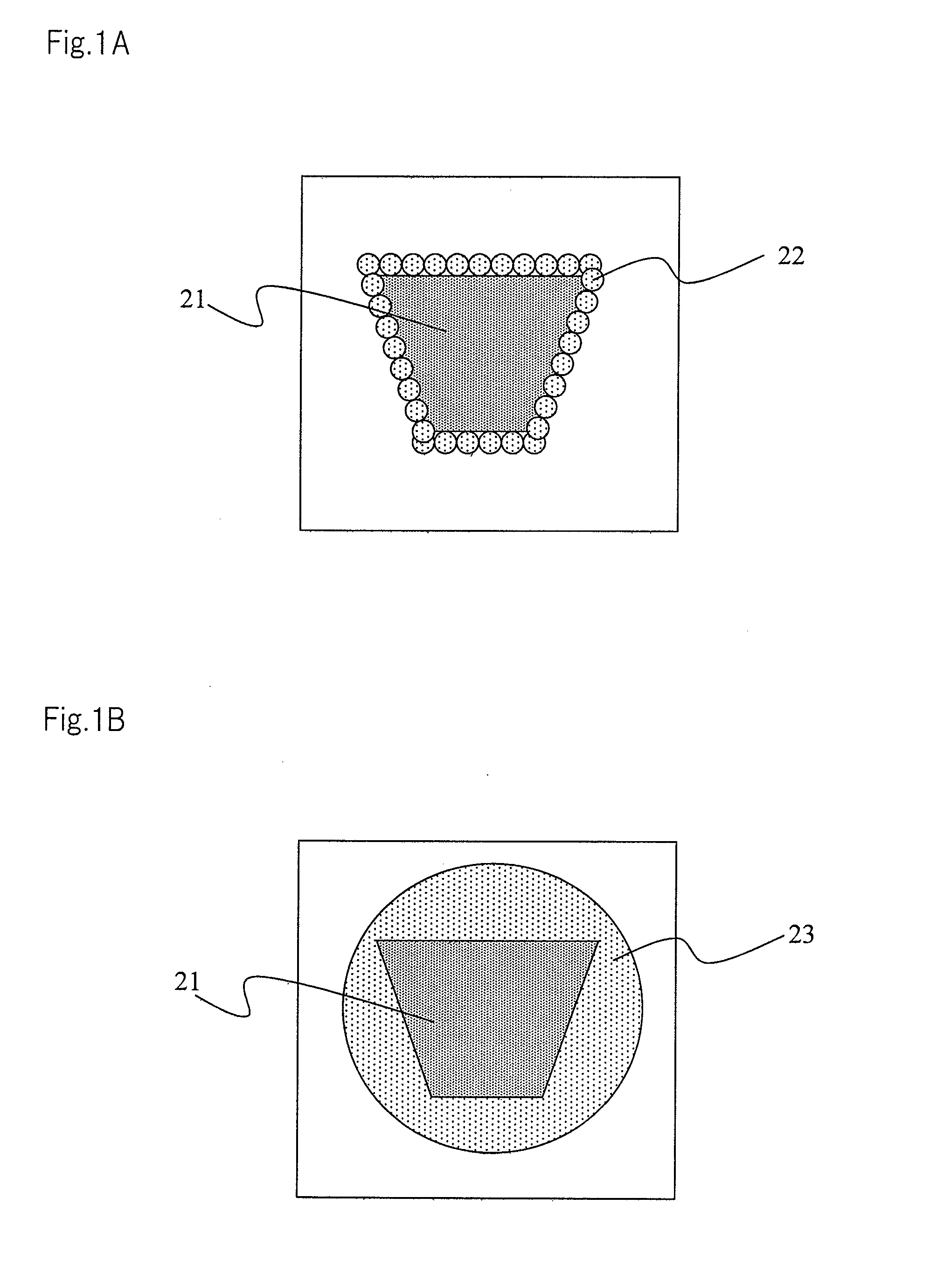 Foamed resin molded article