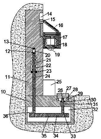 Solar lighting device