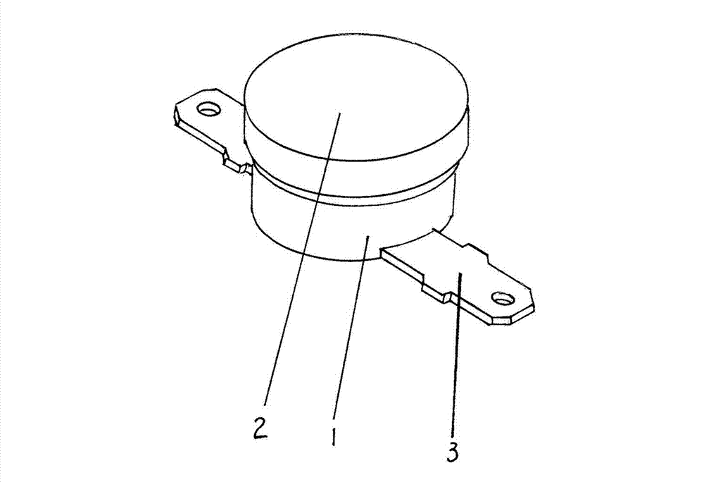 Temperature controller for irregularly-shaped heater