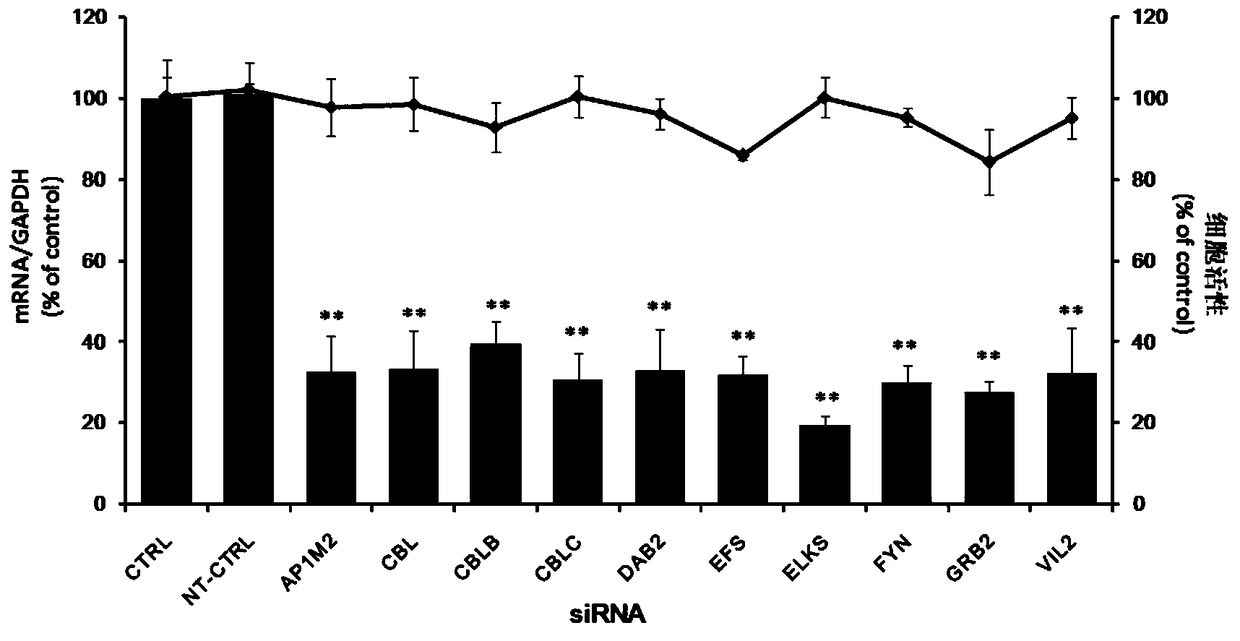 Application of protein tyrosine kinase fyn oncogene in prevention and treatment of enterovirus 71 infection