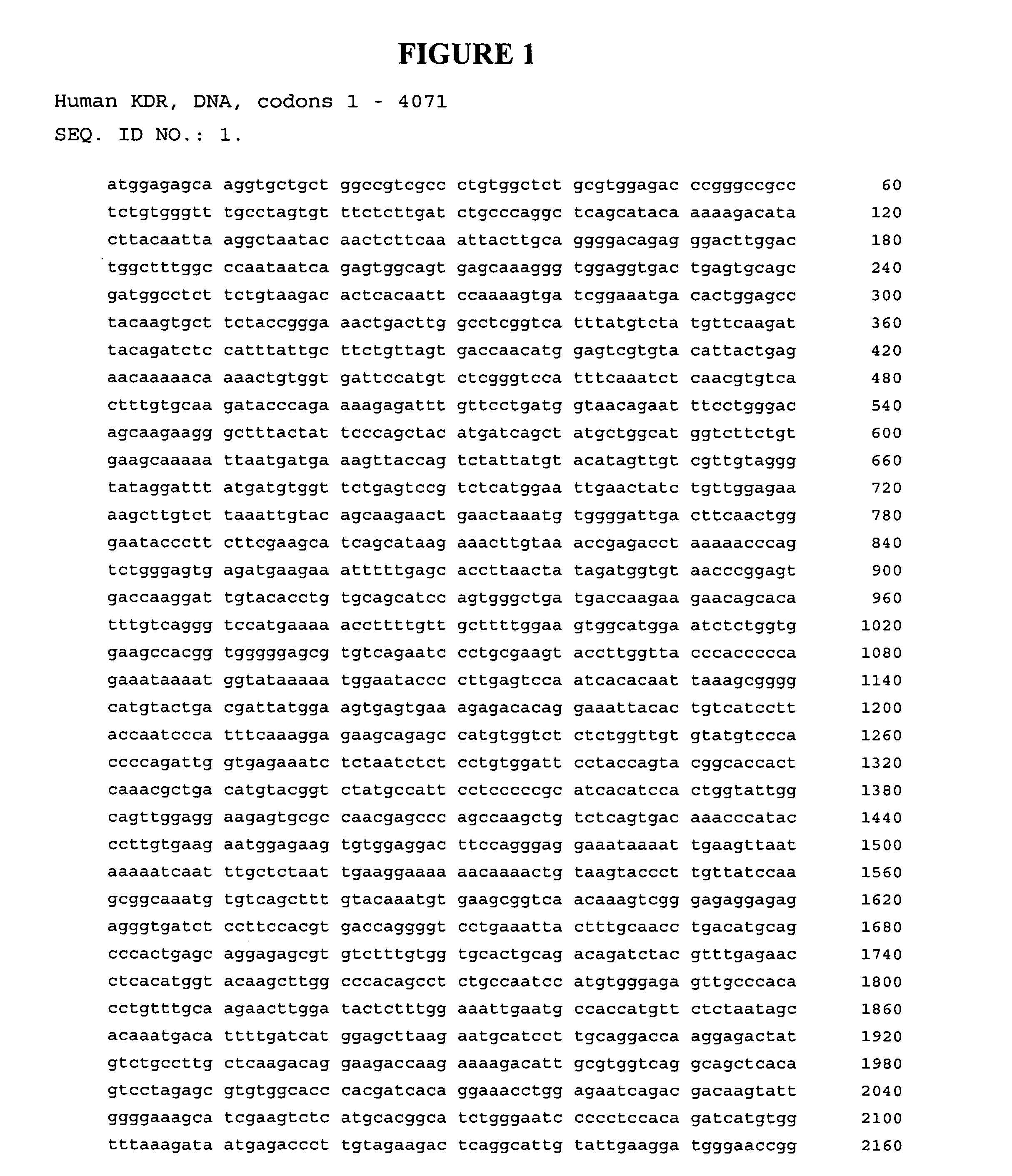 DNA composition encoding an immunogenic VEGF receptor peptide and methods of use thereof