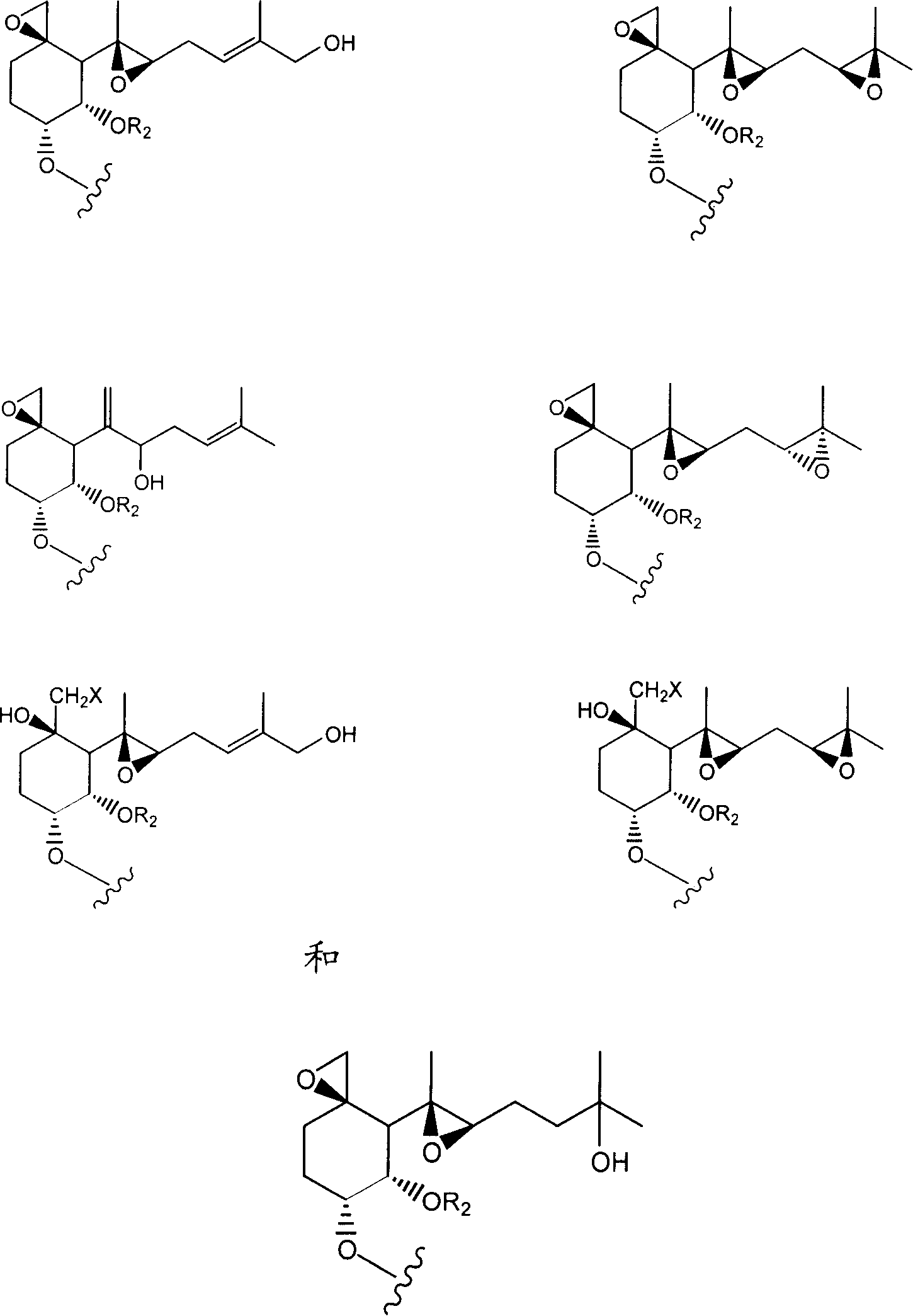 Inhibitors of methionine aminopeptidase-2 and uses thereof