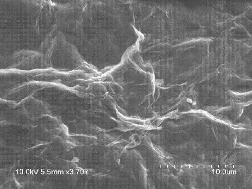 Application of microcystin degrading enzyme in degradation of nodularin