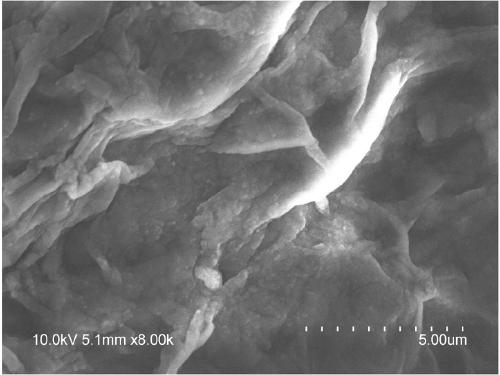 Application of microcystin degrading enzyme in degradation of nodularin