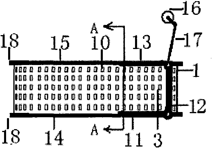 Method for accurately arranging positions and postures of rice seeds