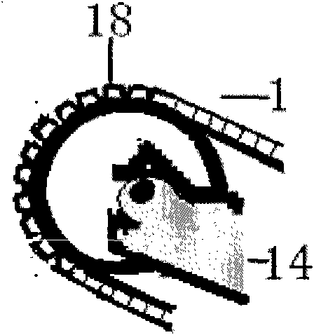 Method for accurately arranging positions and postures of rice seeds