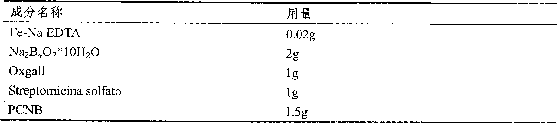 Mixed pesticide capsule preparation for preventing and treating nematode and soil-borne disease